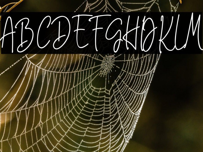 White Star Personal Use Example 2