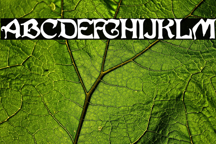 White Storm Example 1