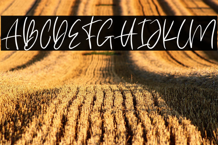 White Sunlight Example 2