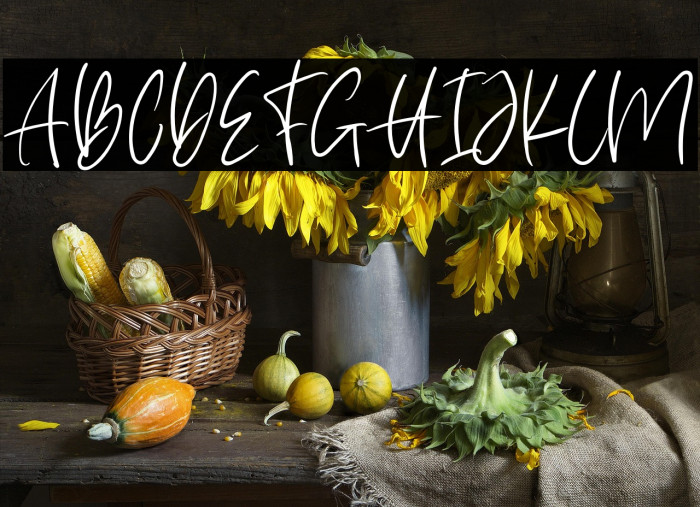 White Sunlight Example 3