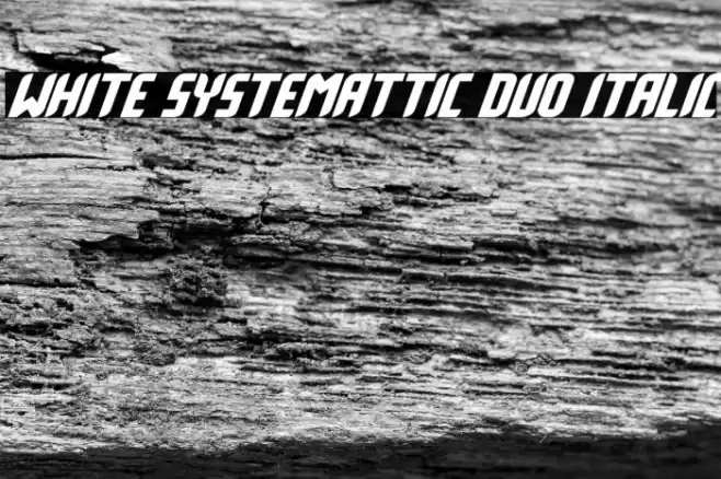 White Systemattic Duo Italic Font examples