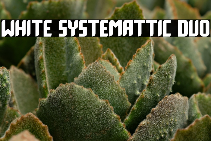 White Systemattic Duo Example 1