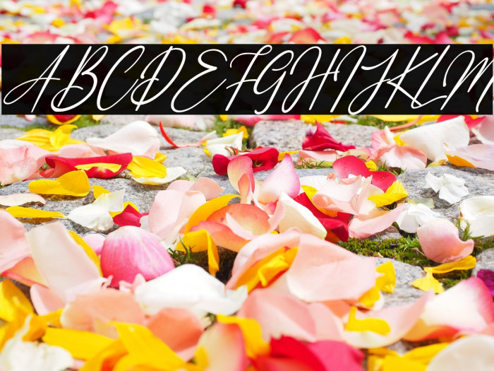 White Systemattic Italic Example 1