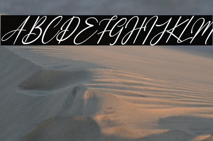 White Systemattic Italic Example 2