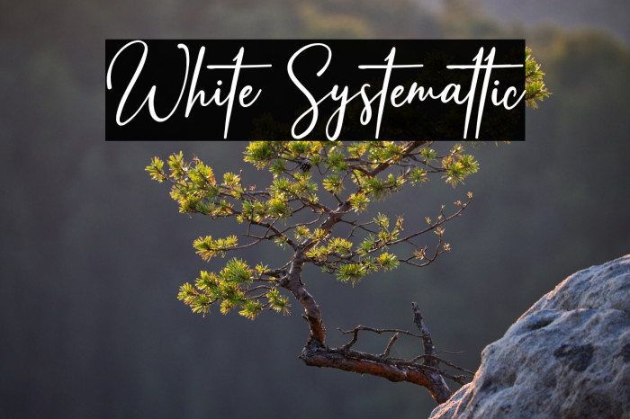 White Systemattic Example 2