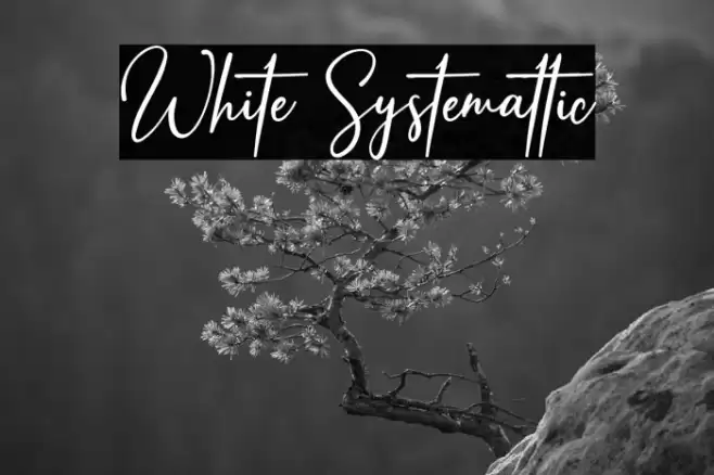 White Systemattic Font examples