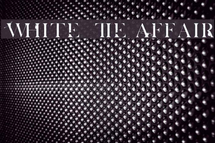 White Tie Affair Font examples