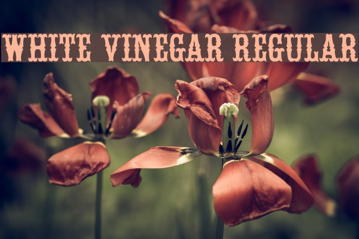 White Vinegar Regular Example 1