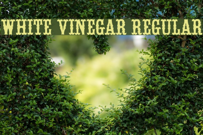 White Vinegar Regular Example 2