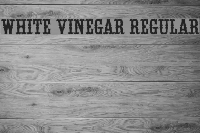 White Vinegar Regular Font examples