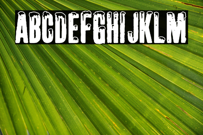 White Winter Snowboarding Example 1