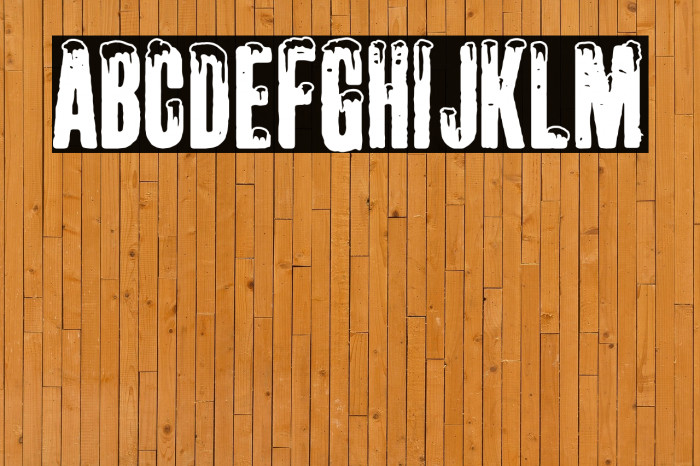 White Winter Snowboarding Example 2