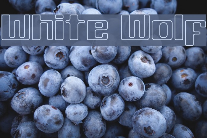 White Wolf Font examples