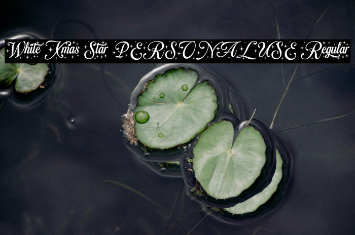 White Xmas Star PERSONAL USE Regular Example 2