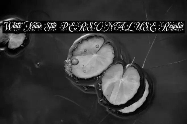 White Xmas Star PERSONAL USE Regular Font examples