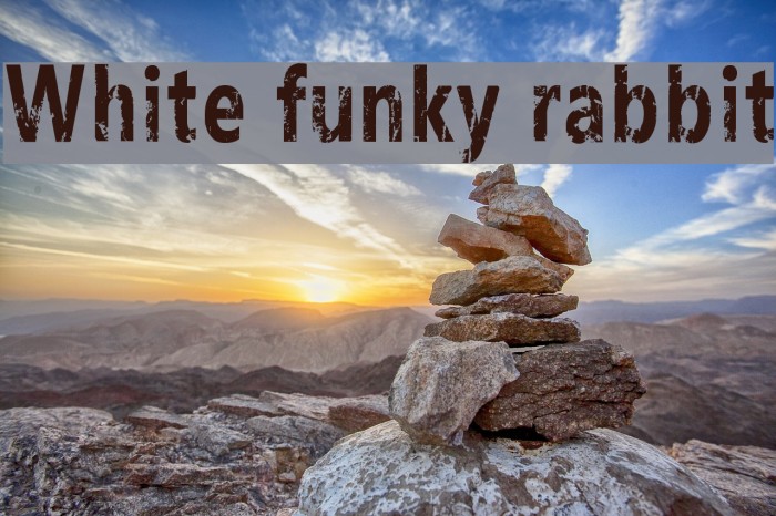White funky rabbit फ़ॉन्ट examples