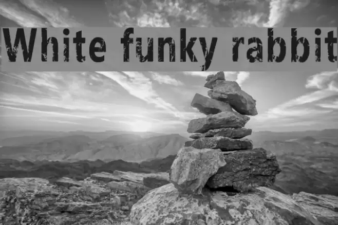 White funky rabbit फ़ॉन्ट examples