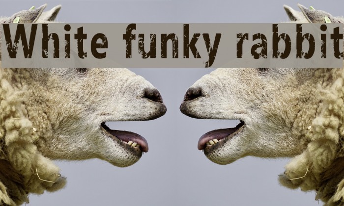 White funky rabbit फ़ॉन्ट examples