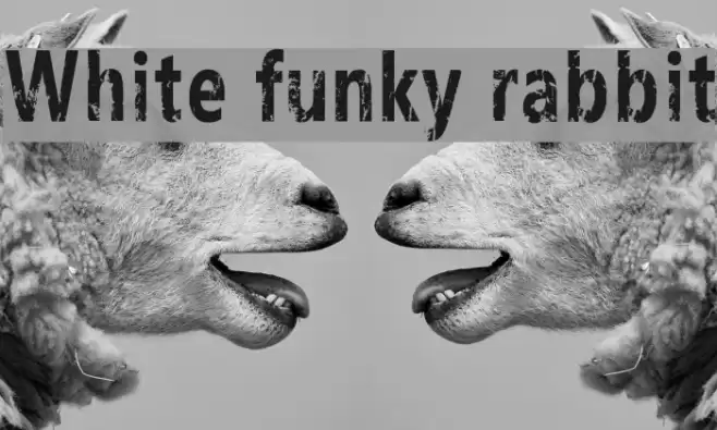 White funky rabbit Font examples