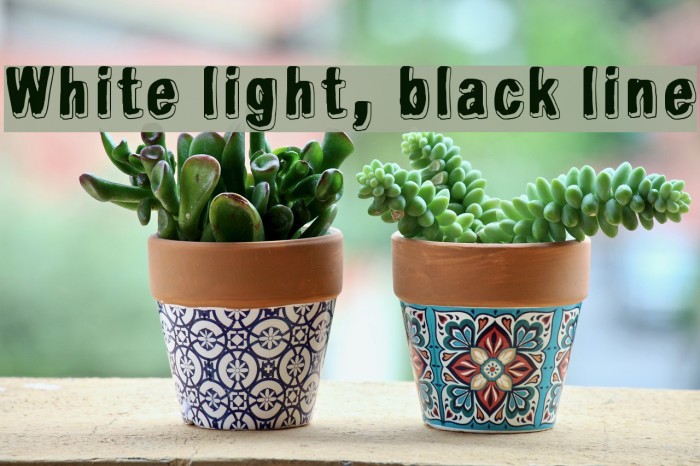 White light, black line Polices examples