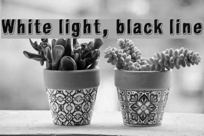 White light, black line Font examples