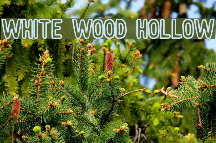 White wood Hollow Font examples