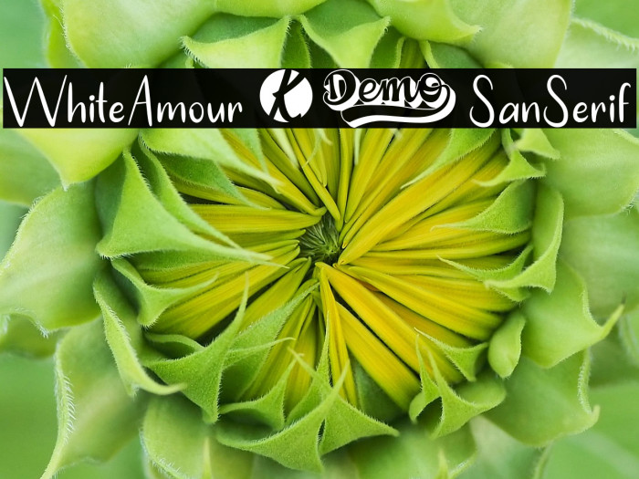 WhiteAmour-SanSerif Example 1