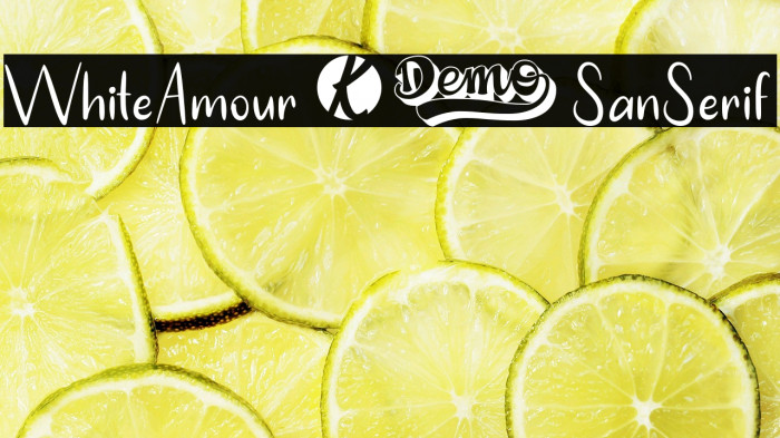 WhiteAmour-SanSerif Example 2