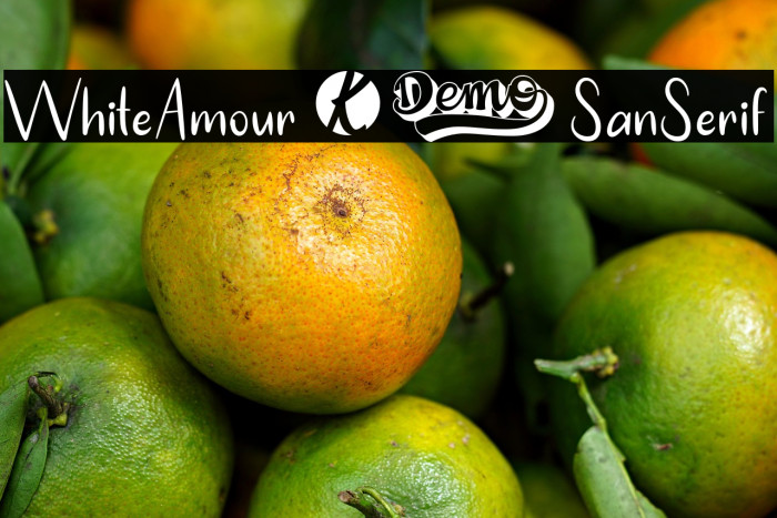 WhiteAmour-SanSerif Example 3