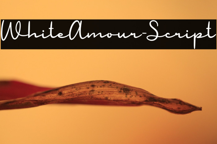 WhiteAmour-Script Example 1