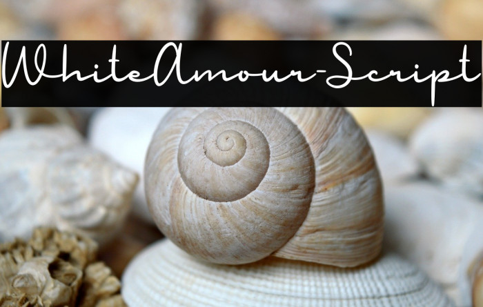 WhiteAmour-Script Example 2