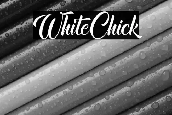 WhiteChick Font examples