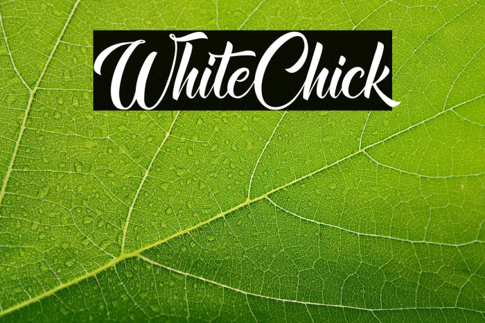 WhiteChick Example 2