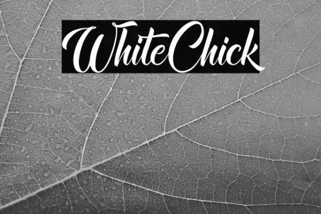 WhiteChick Font examples