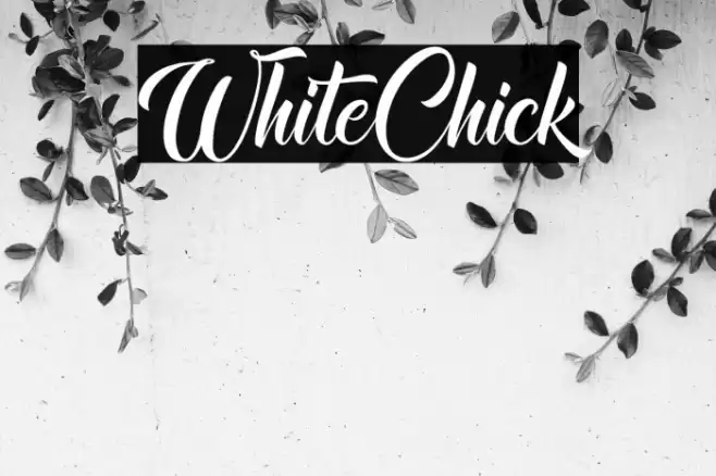 WhiteChick Font examples