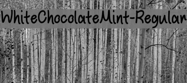 WhiteChocolateMint-Regular خط examples