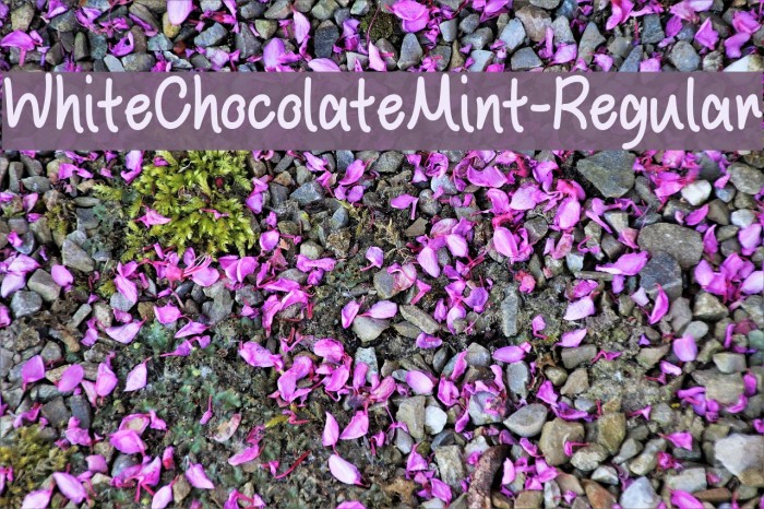 WhiteChocolateMint-Regular Font examples