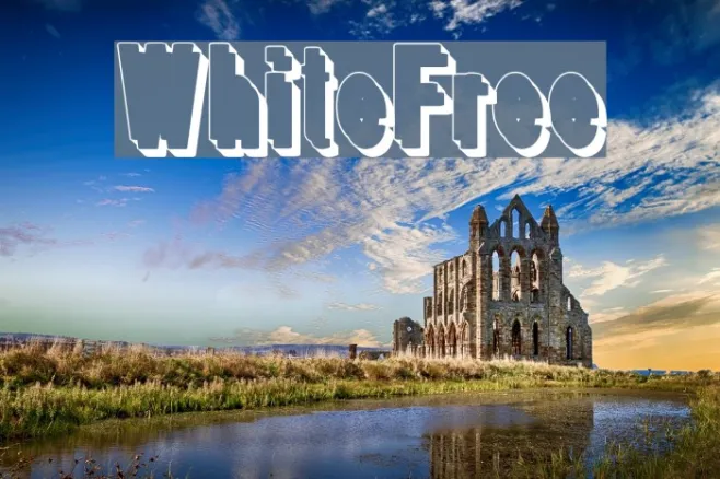 WhiteFree Example 1