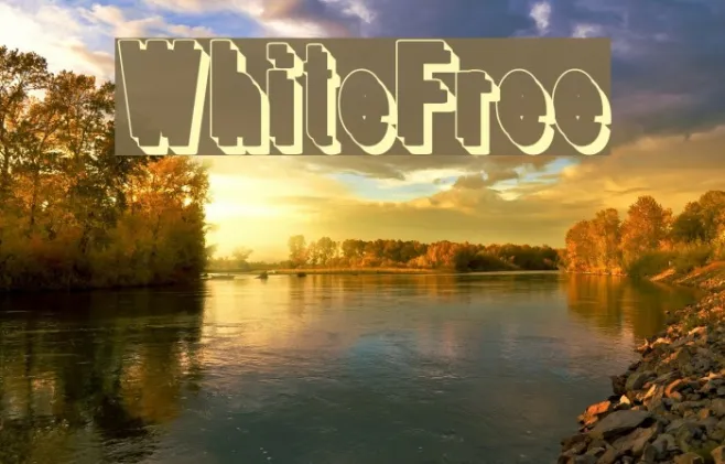 WhiteFree Example 2