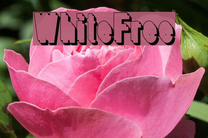 WhiteFree Font examples