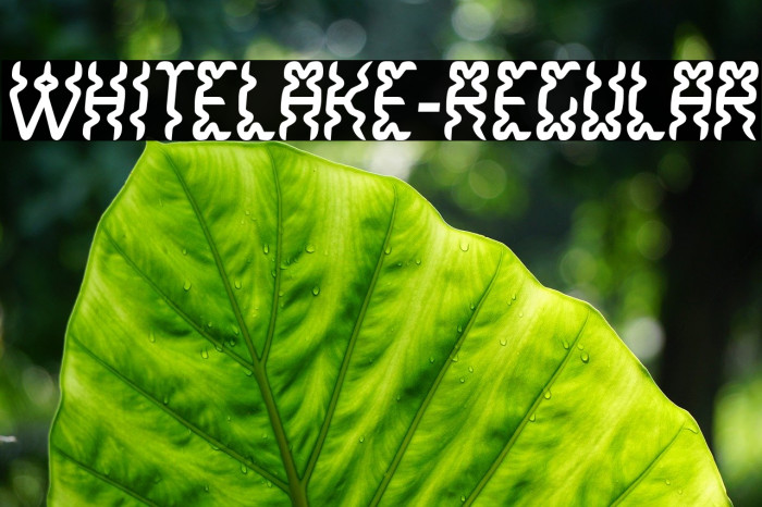 WhiteLake-Regular Font examples