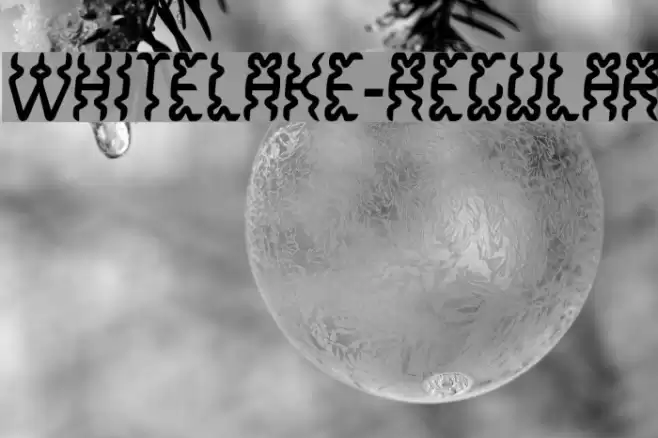 WhiteLake-Regular Font examples