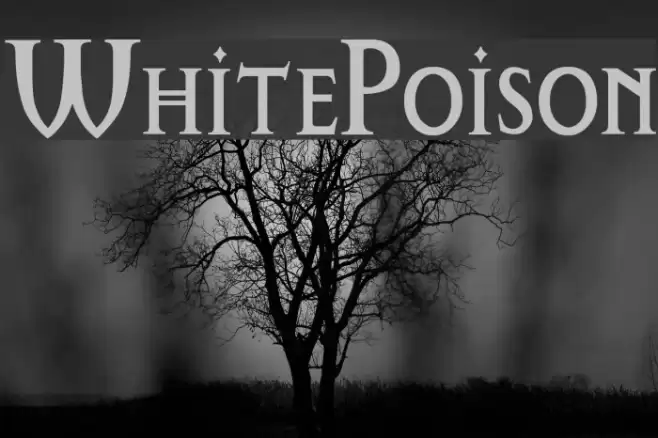 WhitePoison Font examples