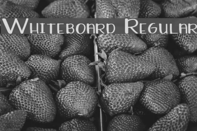 Whiteboard Regular Font examples