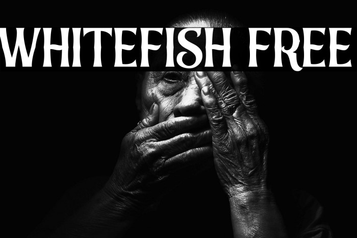 Whitefish FREE Example 1