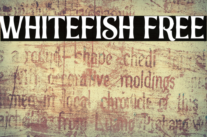 Whitefish FREE Example 3