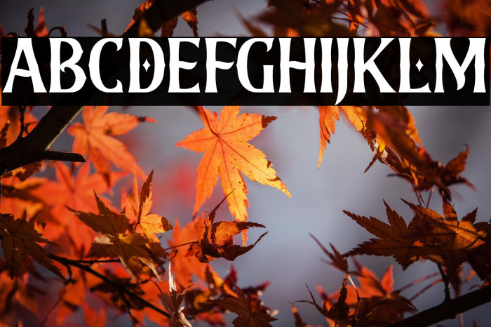 WhitefishFREE Example 1