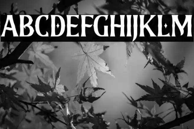 WhitefishFREE Font examples