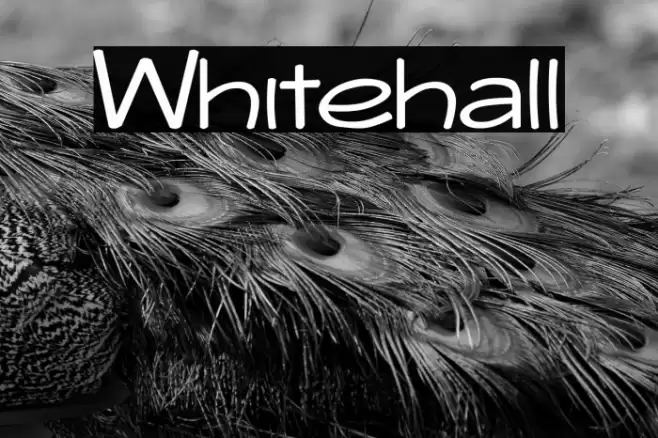 Whitehall Font examples