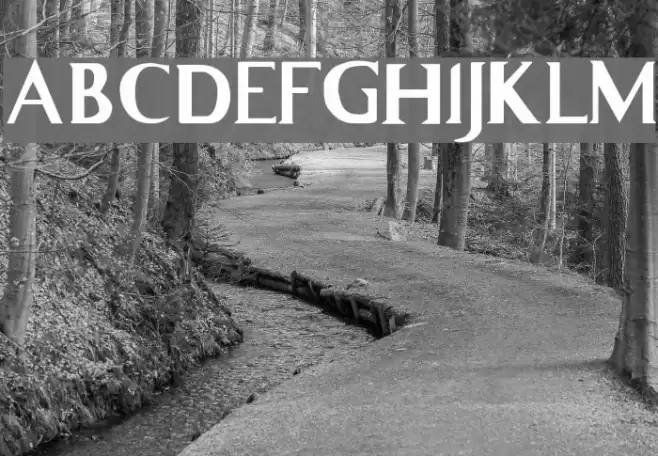 Whitelighter Font examples